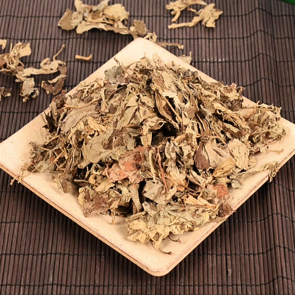 Foglie di Artemisia con Assenzio 100% BIO per Fitoterapia