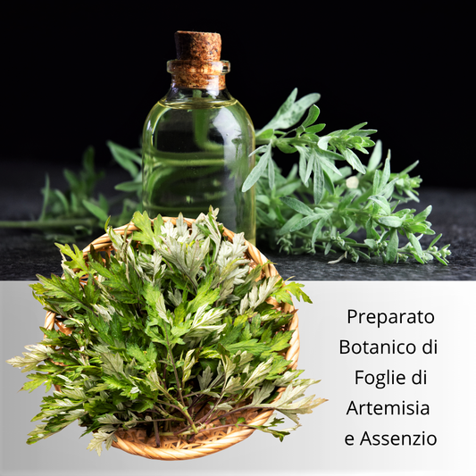 Foglie di Artemisia con Assenzio 100% BIO per Fitoterapia