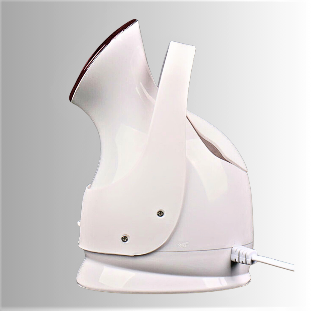 El vaporizador de iones nano revoluciona tu belleza facial