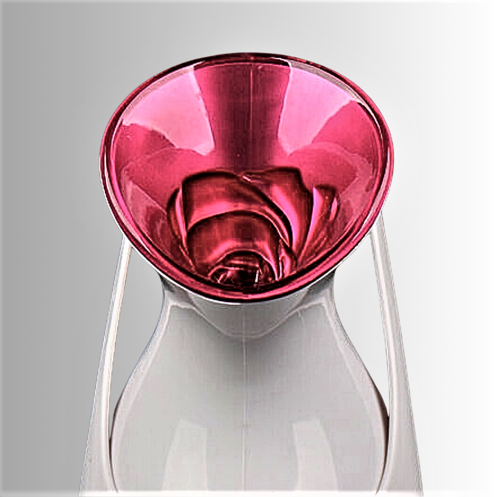 El vaporizador de iones nano revoluciona tu belleza facial