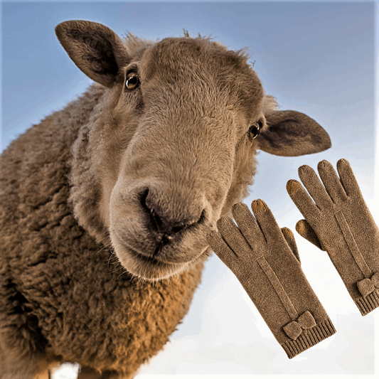 Guanti in Maglia di 100% Puro Cachemire: Eleganza e Innovazione