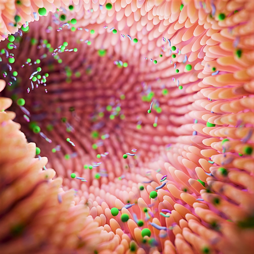 Integratori Probiotici e Prebiotici Vaginali