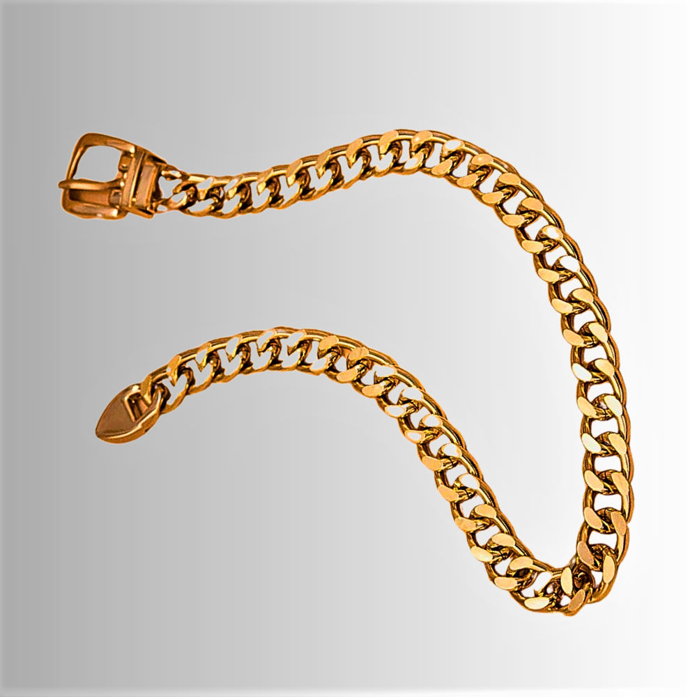 Collar "Shiny Buckle": ilumina tu estilo