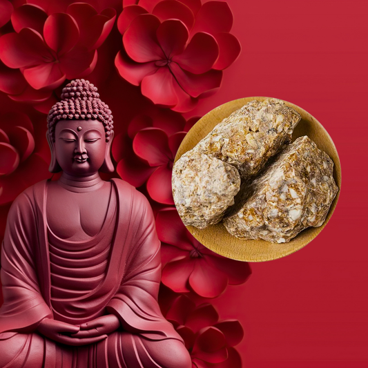 Resina di Benzoino dell'albero di Stirace indonesiano