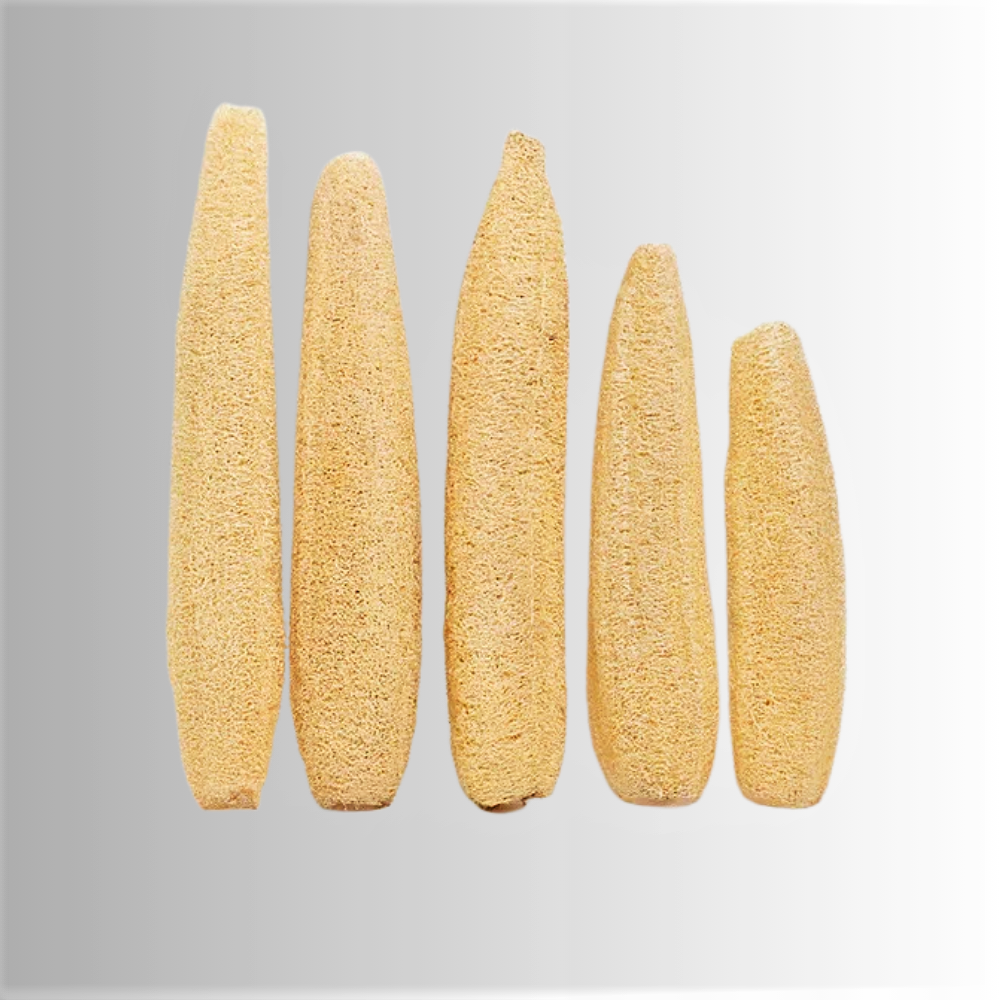 Spugna di Luffa intera 100% BIO