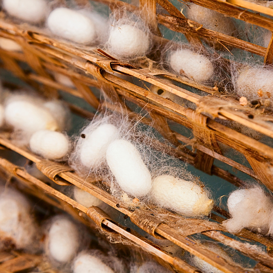 Foulard in Seta Naturale di Gelso 100% Scopri l'Incanto della Natura