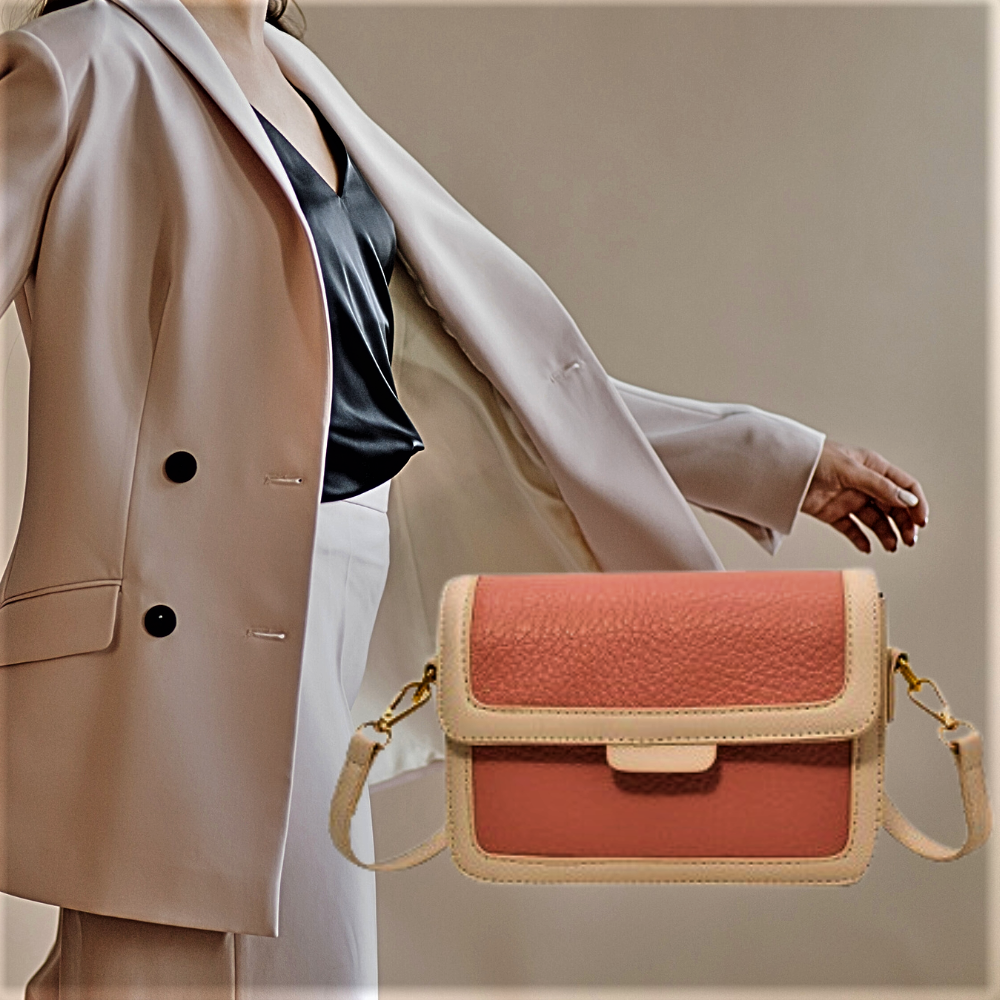 Mini Bolso de Moda