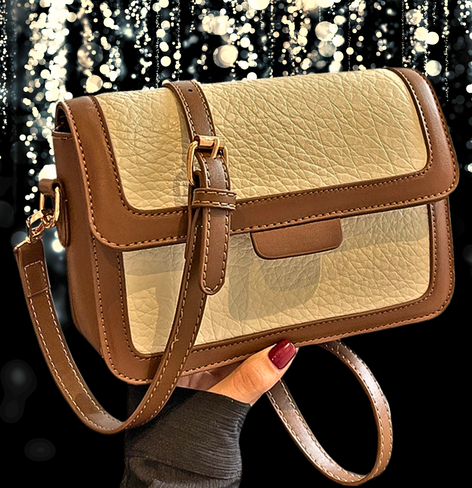 Mini Bolso de Moda