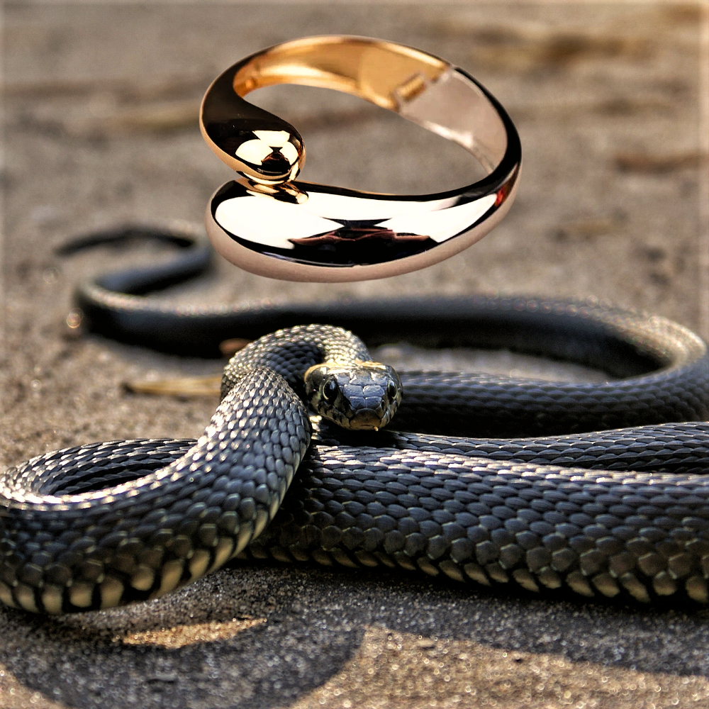 Pulsera de serpiente de dos tonos: una auténtica declaración de estilo