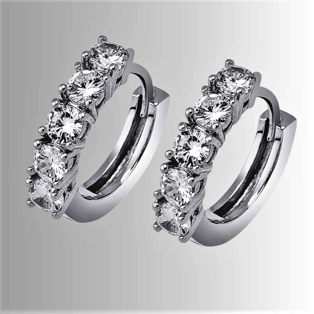 Orecchini "Cerchio In Fiamme" Illumina il Tuo Volto con Sobrietà