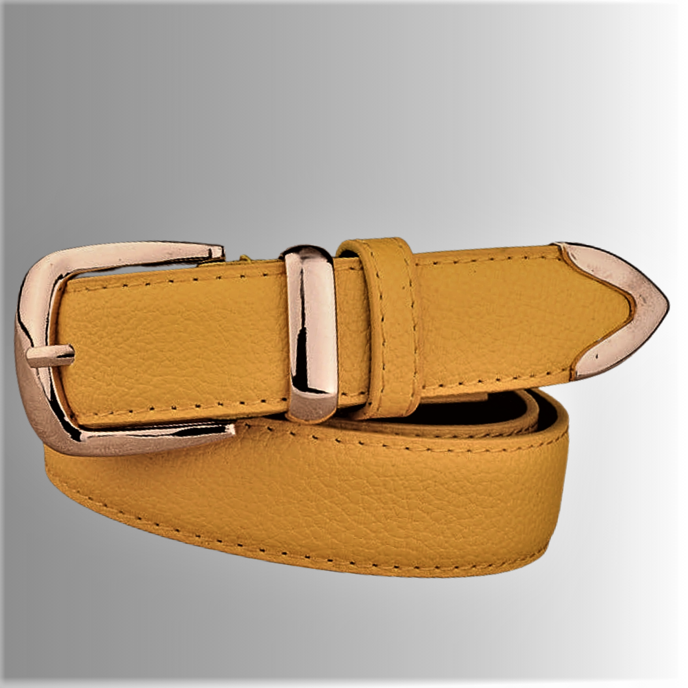 Classic Belt Timeless Elegance