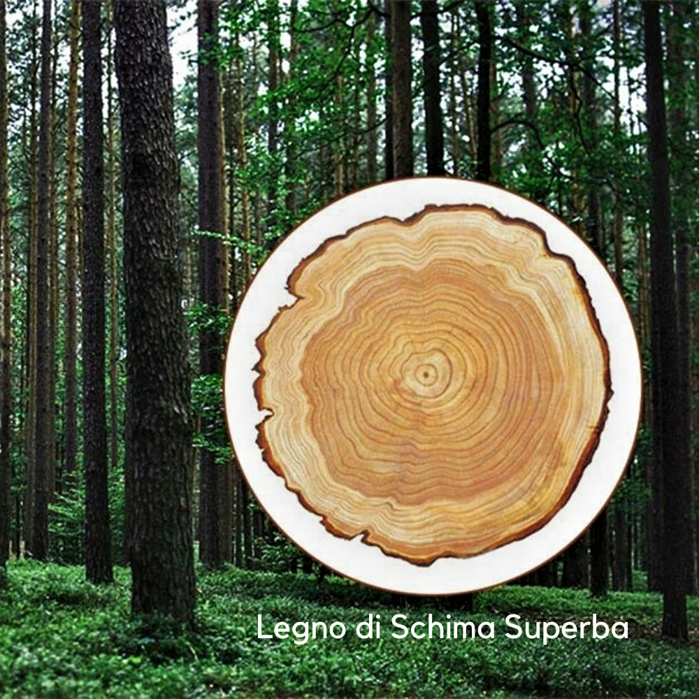 Strumenti Professionali per Massaggi in Legno Massiccio e Bamboo