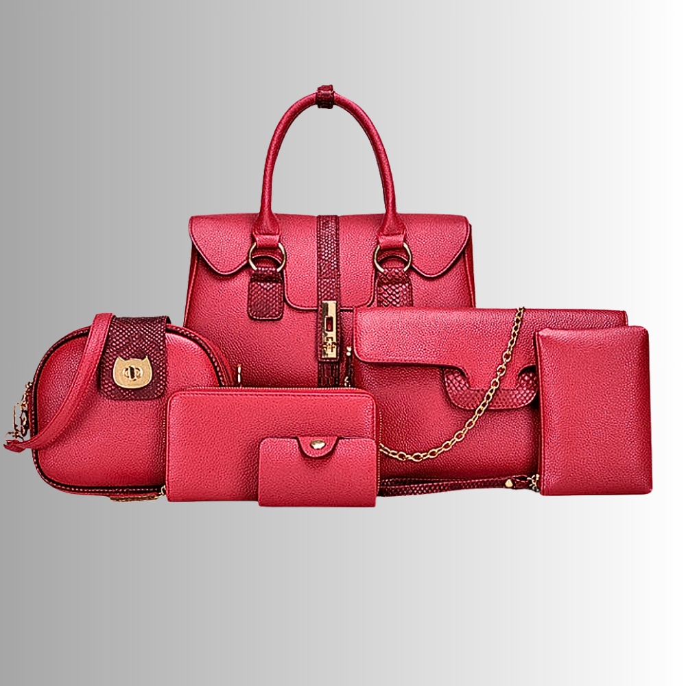 Conjunto de 6 piezas de bolsos y accesorios Elegancia y practicidad en cada detalle
