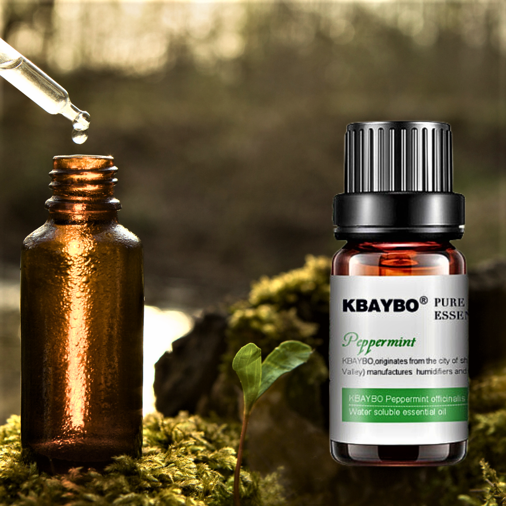 Set de 6 Aceites Esenciales Vegetales Orgánicos para Aromaterapia y Masaje