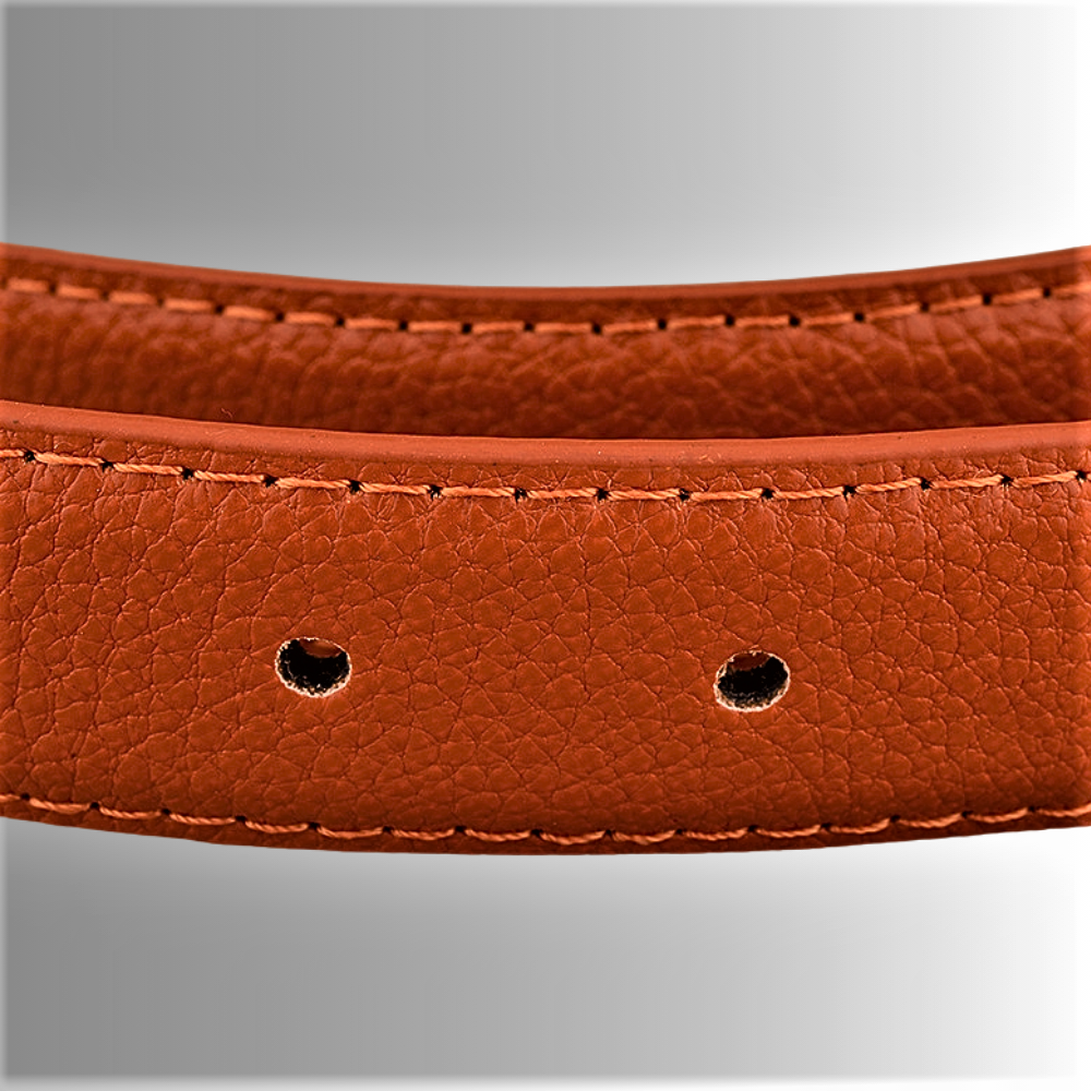 Classic Belt Timeless Elegance