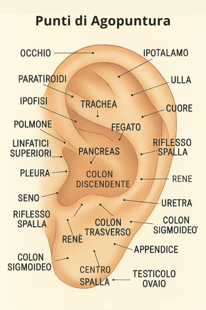 Confezione da 1000 Aghi Intradermici Hinaishin