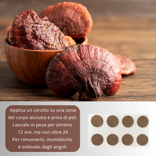 Cerotto transdermico con estratto concentrato di Fungo Reishi