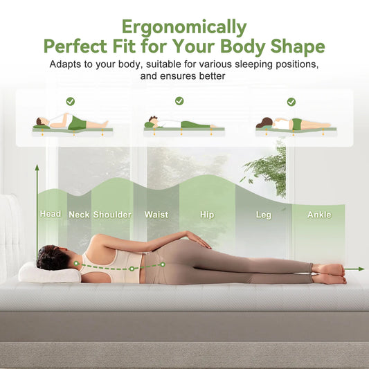 Daccormax Mattress High-Density Foam,Mattress 7-Zone Ergonomic ,Pressure Relief& Spinal Alignment, Medium Firm & Breathable