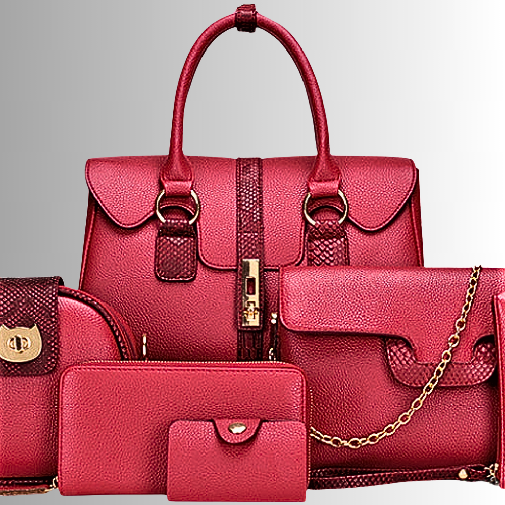 Conjunto de 6 piezas de bolsos y accesorios Elegancia y practicidad en cada detalle