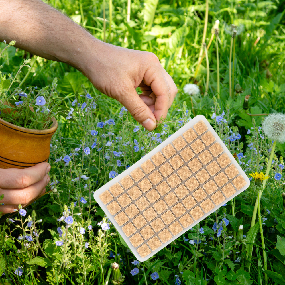 Cerotti Transdermici di Fitoterapia Auricolare