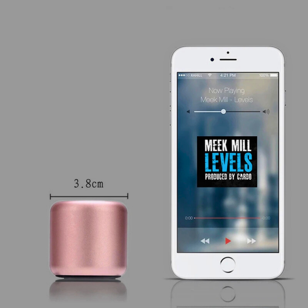Mini Speaker per Cellulari e Dispositivi Audio Video