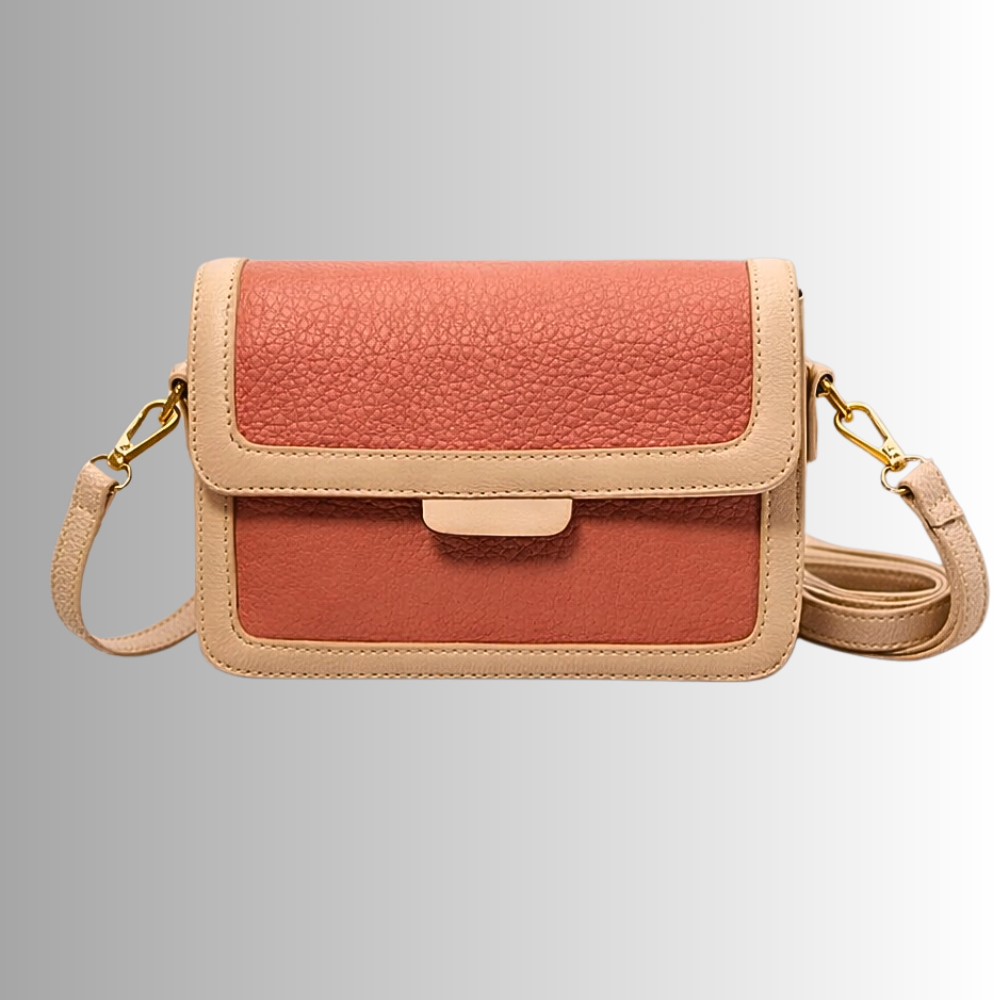 Mini Bolso de Moda