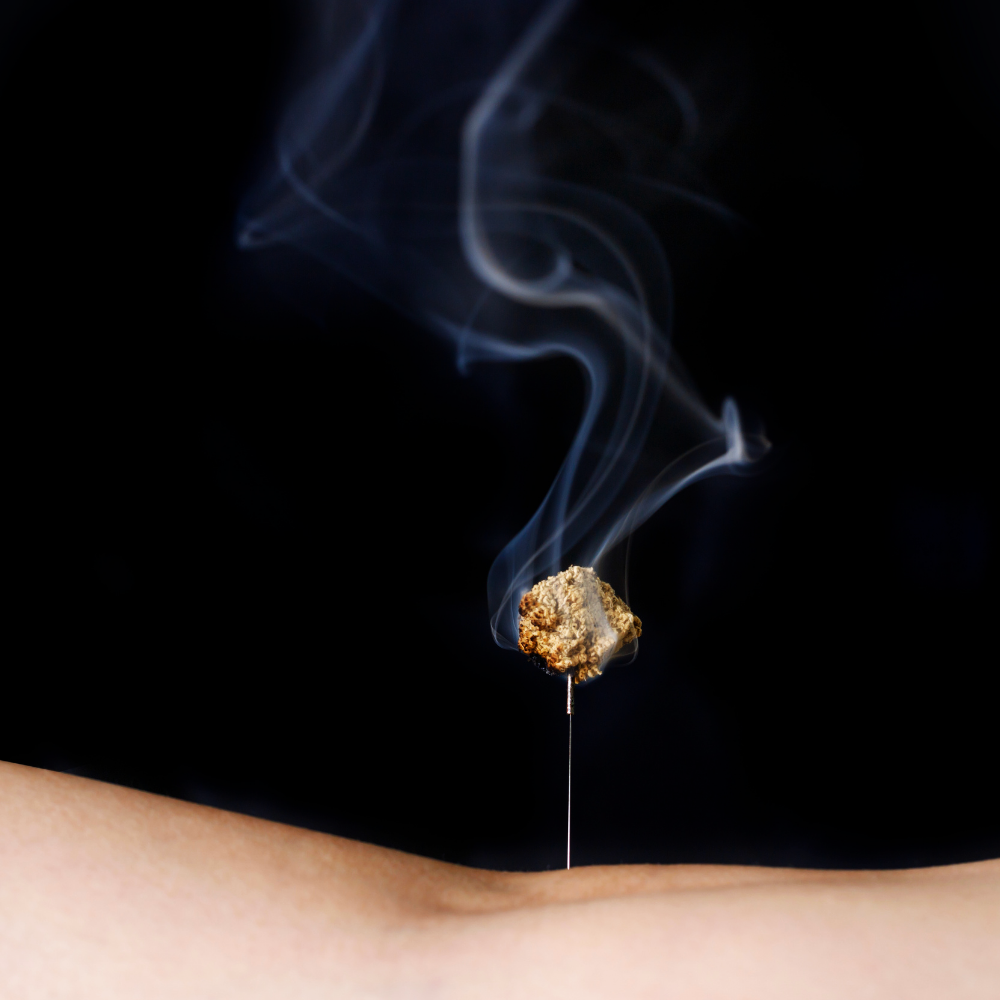 Moxa Pura di Foglie Assenzio Selvatico e Artemisia con Bruciatore