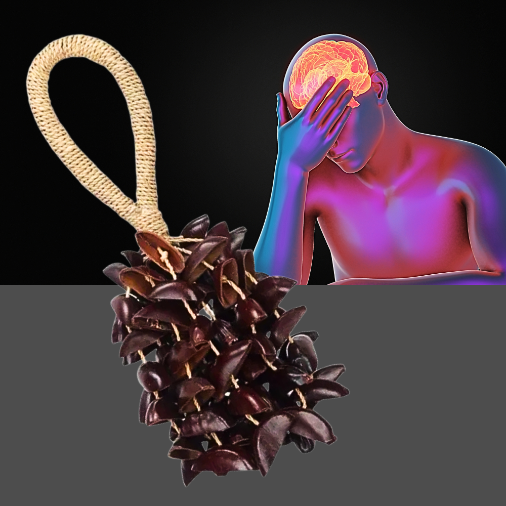 Campanelle in Semi Naturali – Armonia e Relax