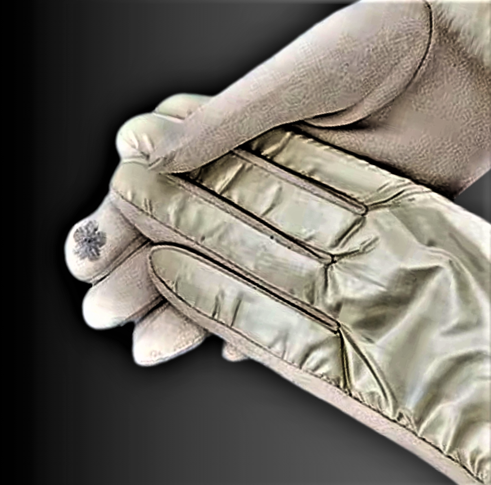 Guanti Touch Screen in Camoscio e Raso