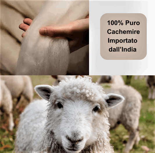 Scaldacollo in 100% Puro Cachemire: Lusso Essenziale in Tinta Unita