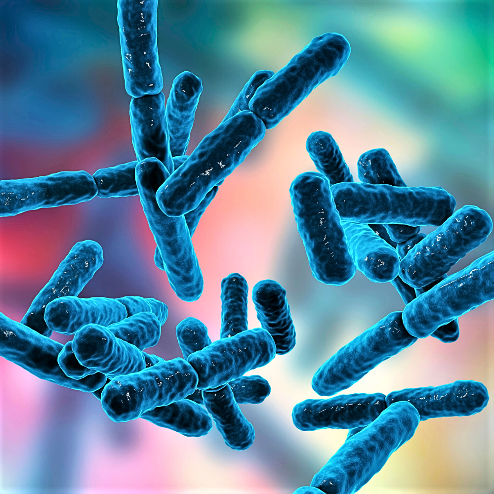 Integratori Probiotici e Prebiotici Vaginali