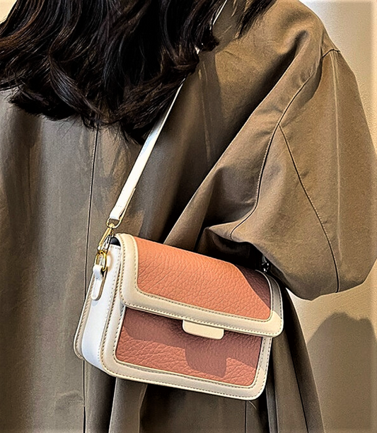 Mini Bolso de Moda