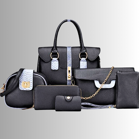 Conjunto de 6 piezas de bolsos y accesorios Elegancia y practicidad en cada detalle