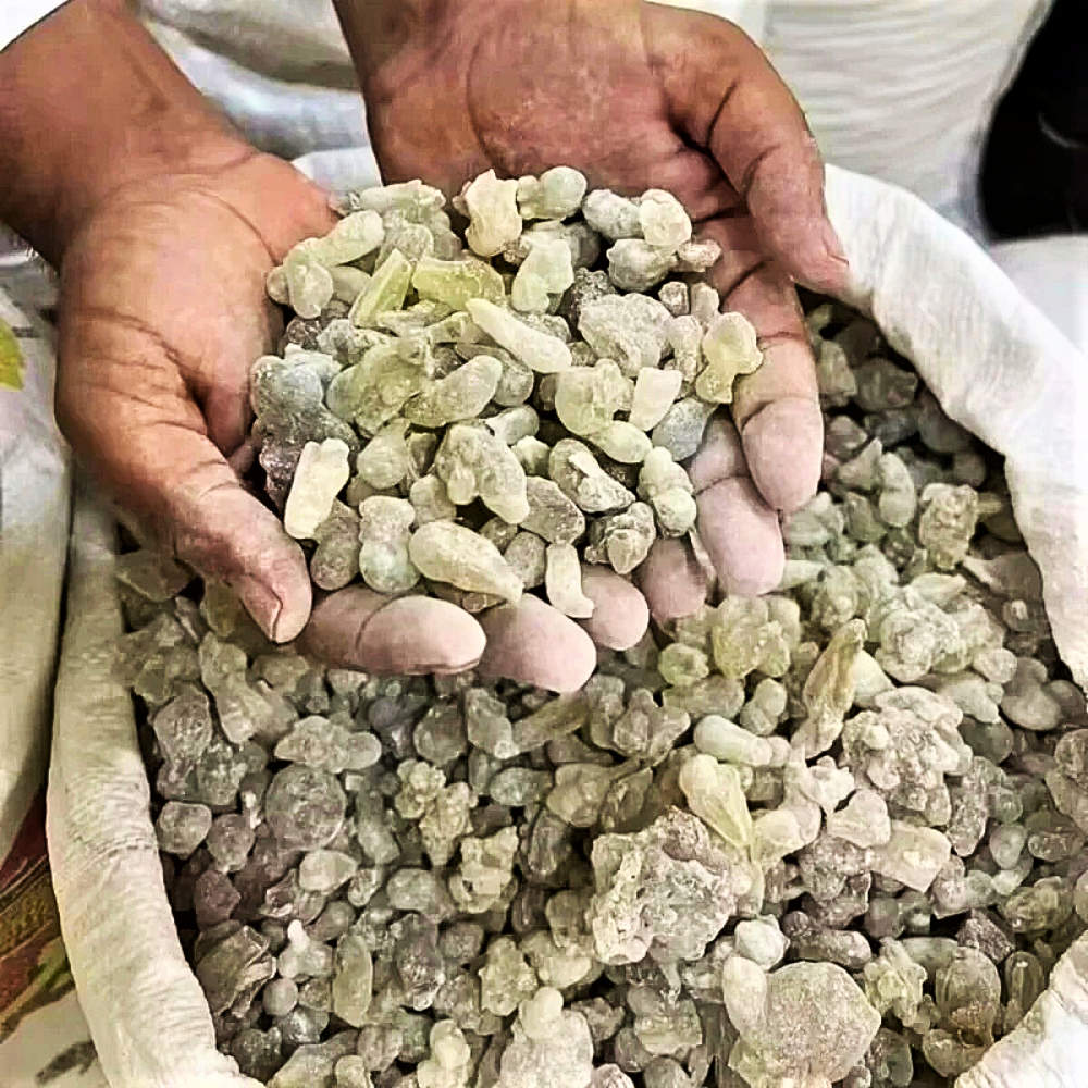 Resina pura Hojari dall'Oman