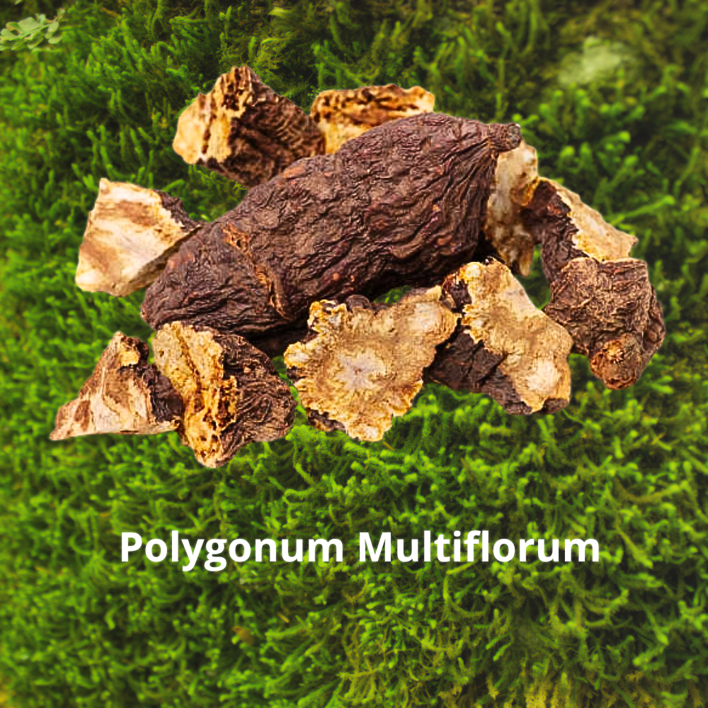 Siero con Biotina, Zenzero e Polygonum