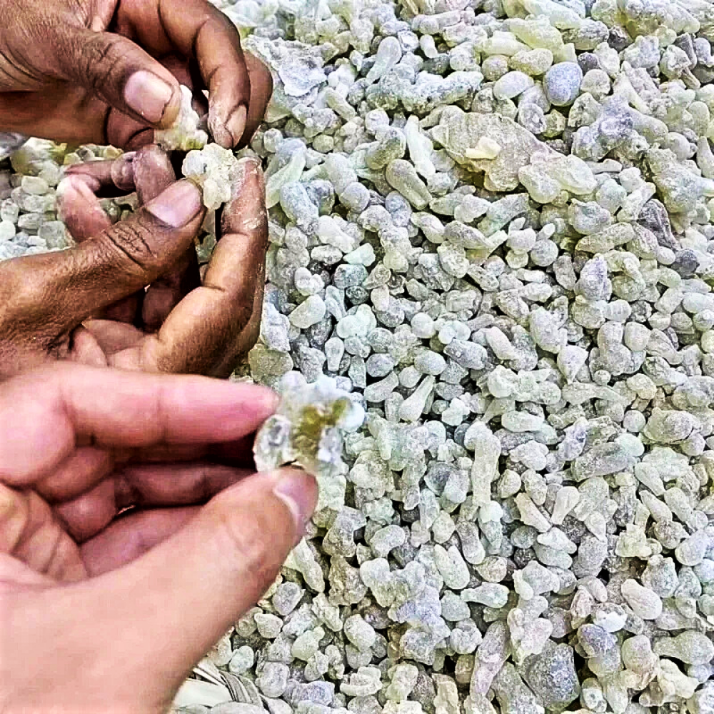 Resina pura Hojari dall'Oman