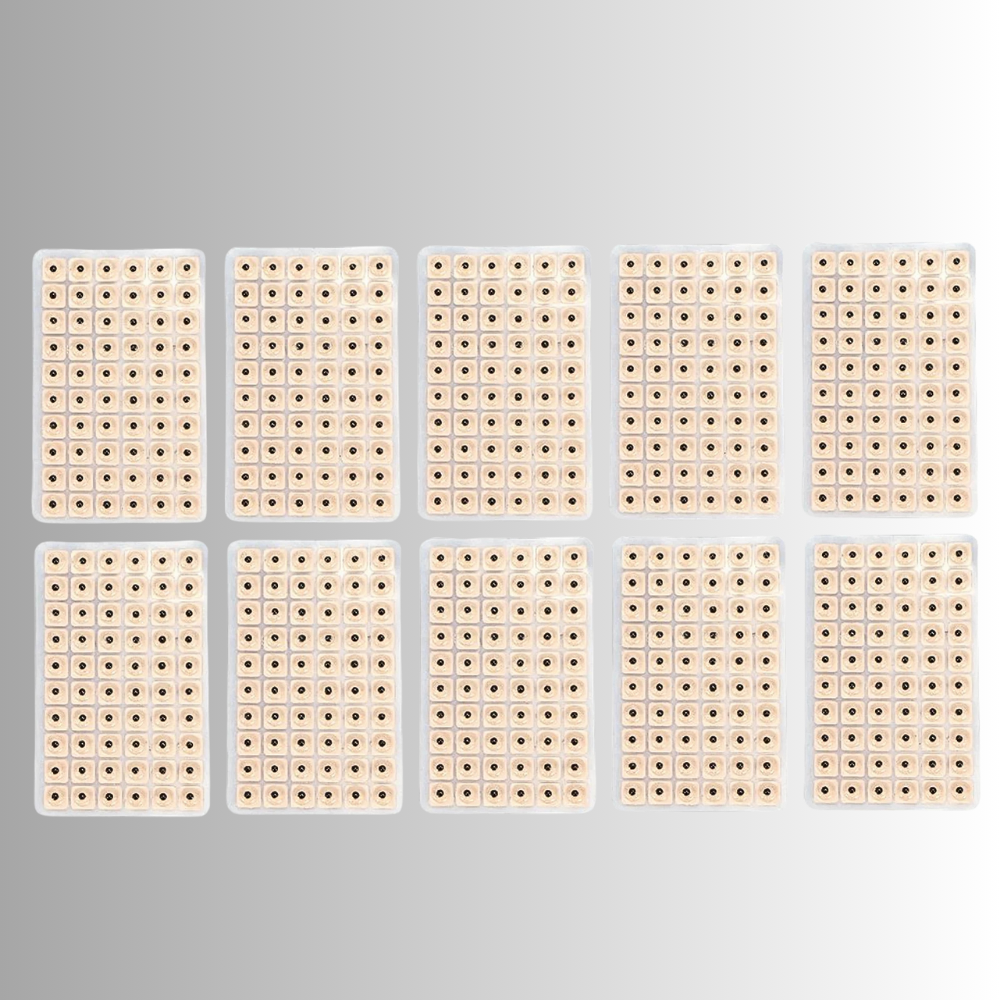 Cerotti Transdermici di Fitoterapia Auricolare