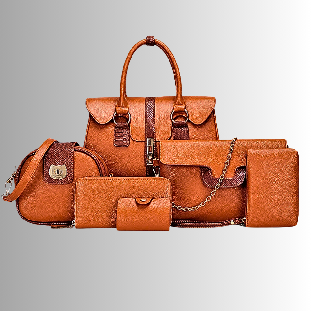 Conjunto de 6 piezas de bolsos y accesorios Elegancia y practicidad en cada detalle