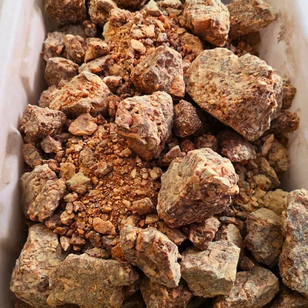 Resina di Benzoino dell'albero di Stirace indonesiano