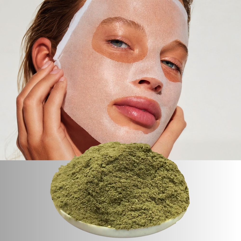 Foglie di Artemisia 100% BIO in Polvere