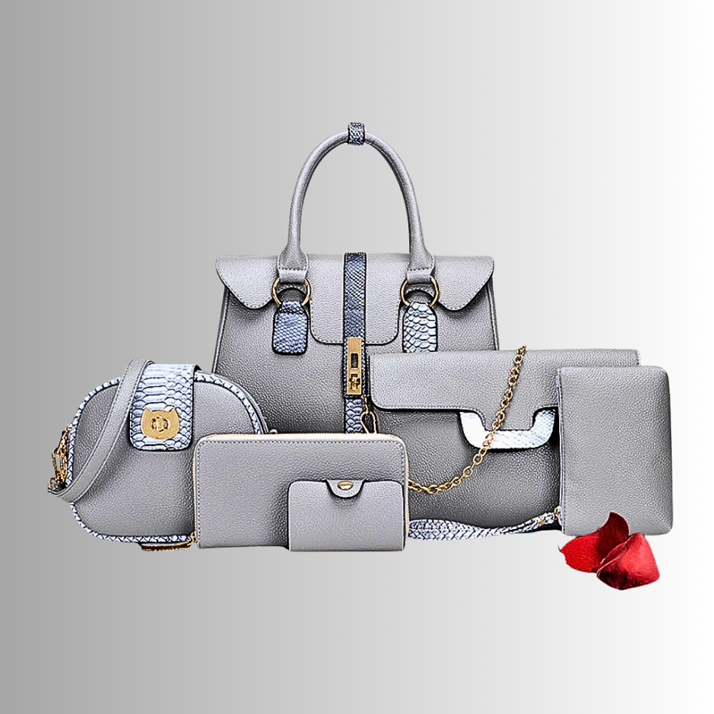 Conjunto de 6 piezas de bolsos y accesorios Elegancia y practicidad en cada detalle