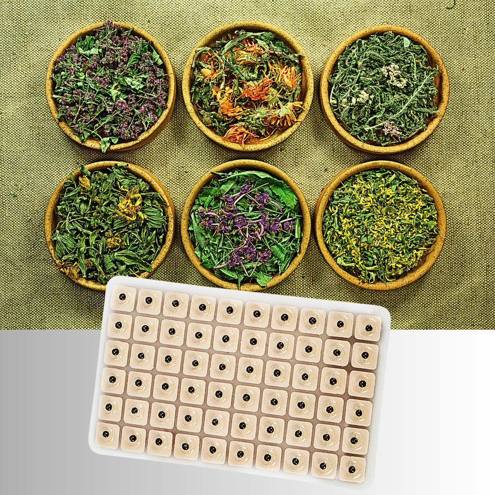 Cerotti Transdermici di Fitoterapia Auricolare