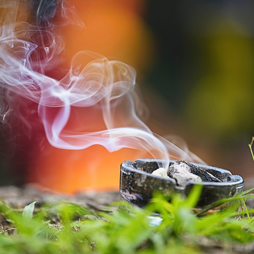 Resina pura Hojari dall'Oman