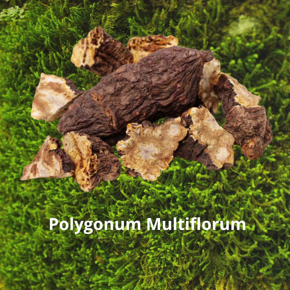 Siero con Biotina, Zenzero e Polygonum