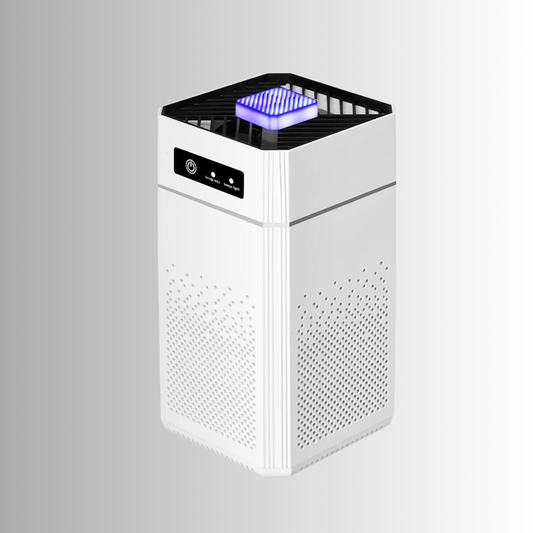 Mini Purificatore d’Aria a Ioni Negativi e Filtro HEPA H12