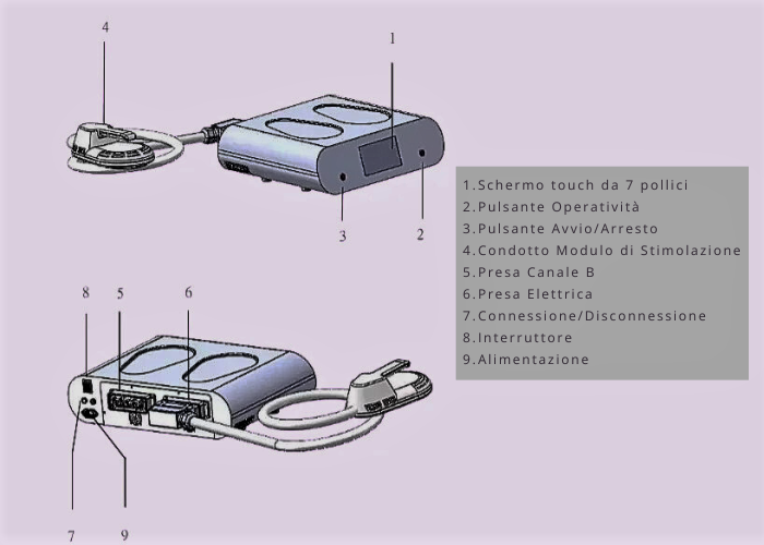 Tecnologia HIEMT per Body Sculpting e Aumento Massa Muscolare