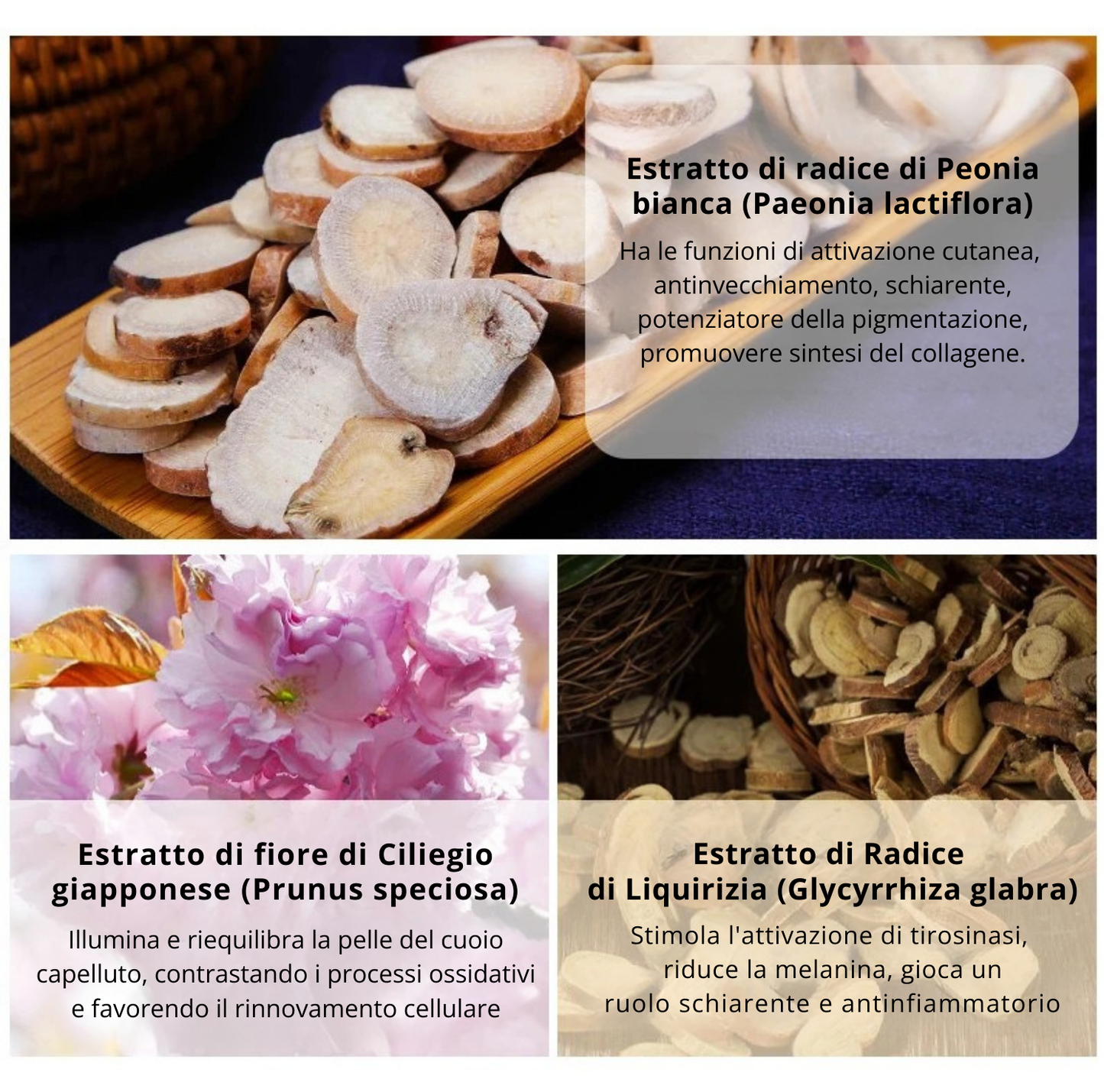 Shampoo Solido Anti-Grigio con He Shou Wu e Oli Botanici