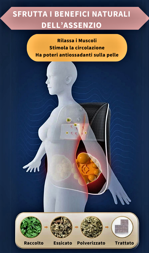 Massaggiatore Professionale Shiatsu con Infrarossi e Assenzio