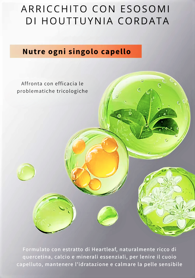 Ampoule Sudcoreana per Cuoio Capelluto e Ricrescita