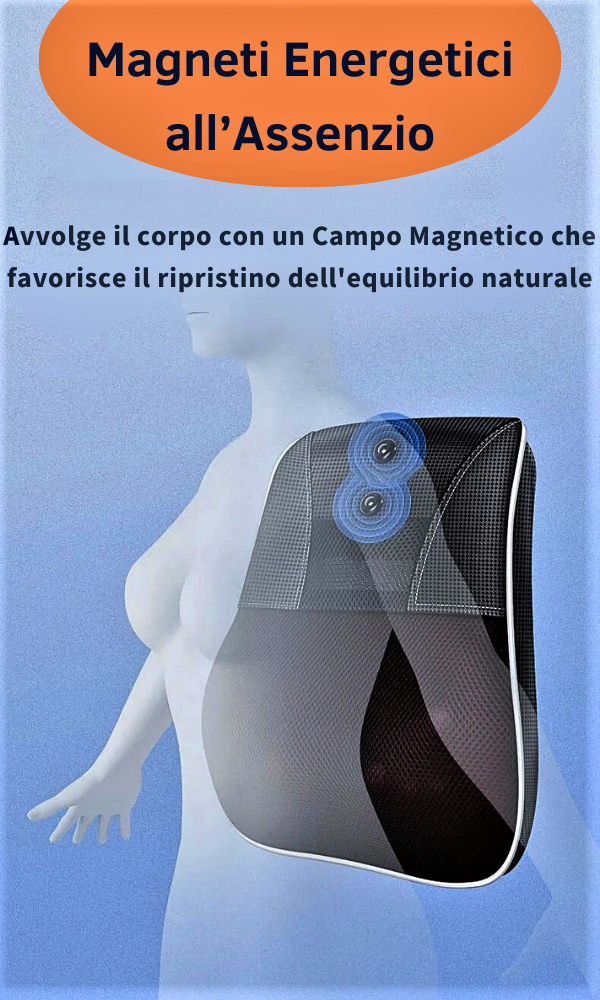 Massaggiatore Professionale Shiatsu con Infrarossi e Assenzio